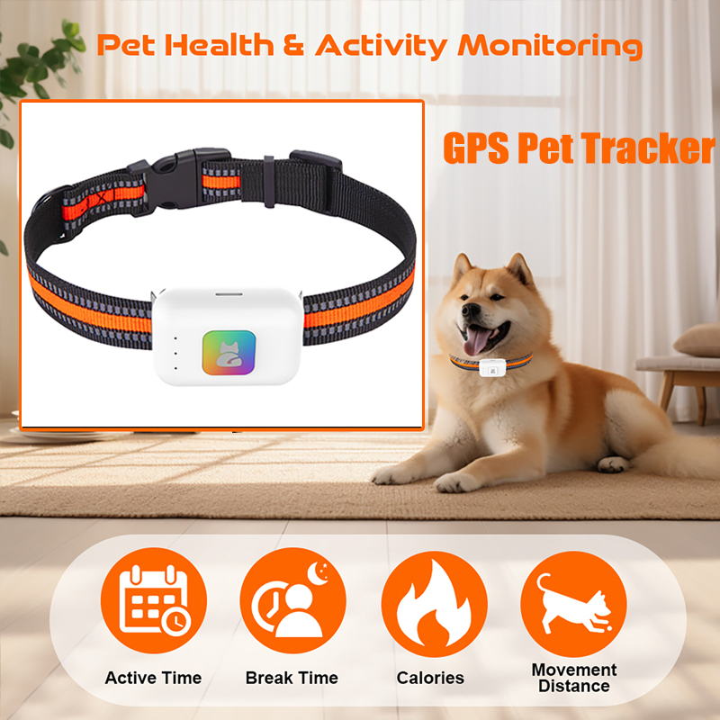 Pet Gps Tracker Collar - Dispositif de suivi GPS AGPS pour