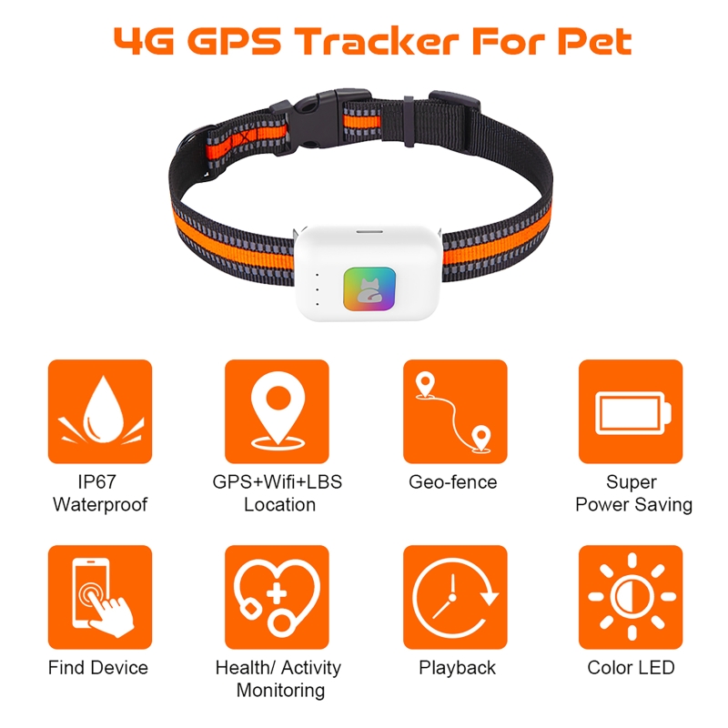 Pet Gps Tracker Collar - Traqueur GPS pour animaux de compagnie