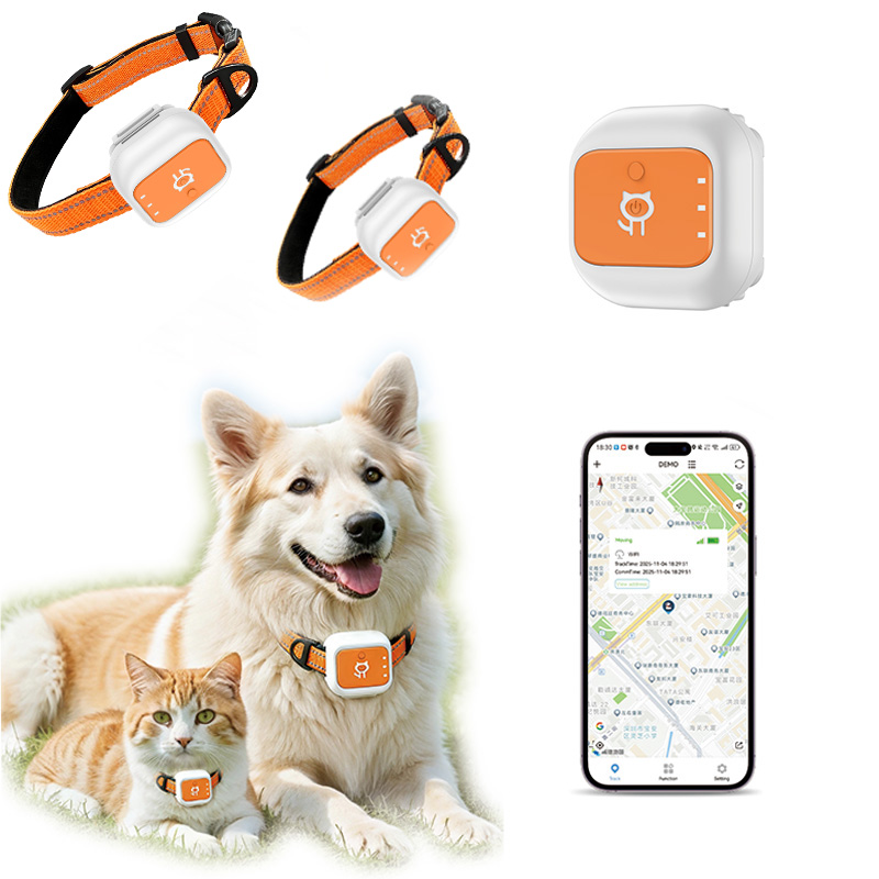 Pet Gps Tracker Collar - Collier de suivi GPS pour animaux