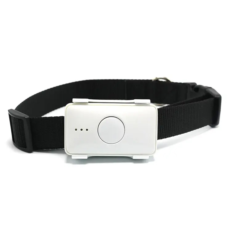 Pet Gps Tracker Collar - STLFSkylab Jouets imperméables pour animaux de