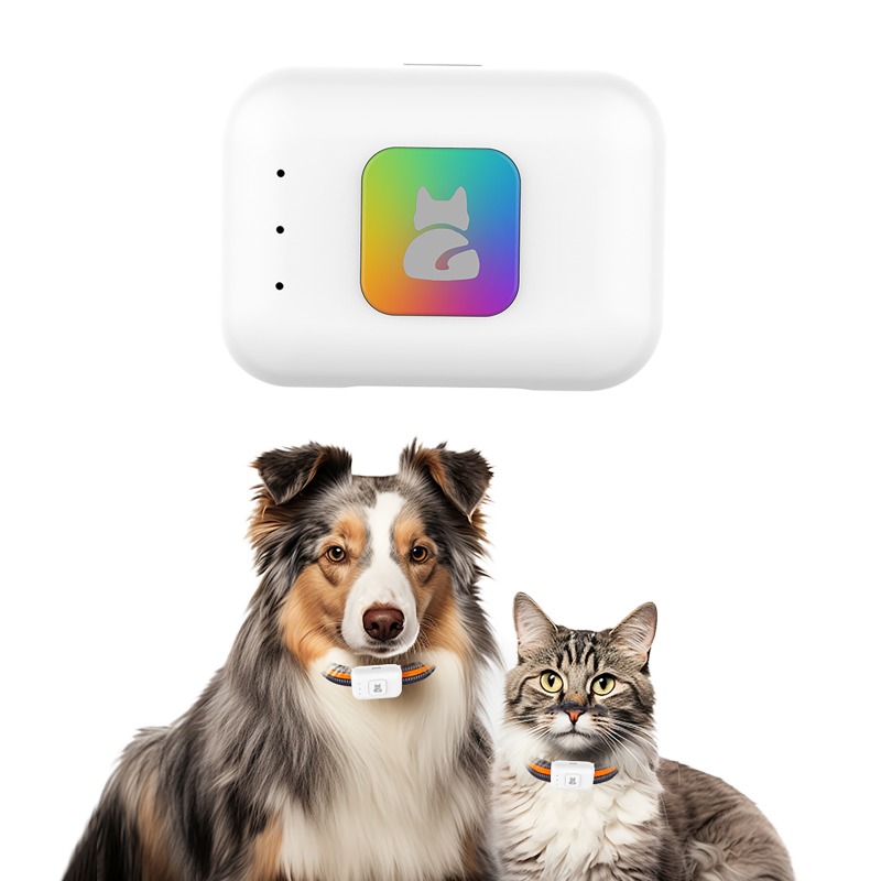 Dispositif de suivi GPS AGPS p - Pet Gps Tracker Collar avis et prix