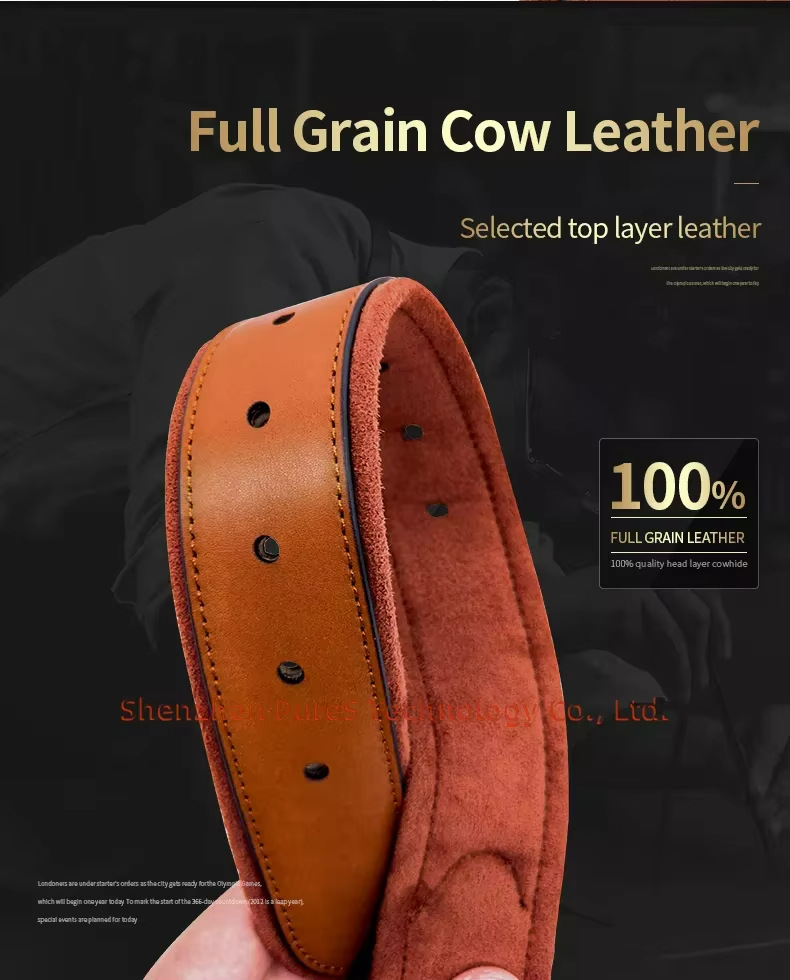 Collier de chien en cuir avec  - Pet Gps Tracker Collar avis et prix